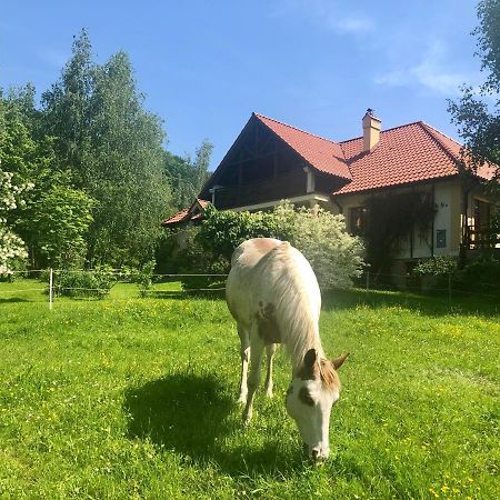 Modryna Ranczo Bed & Breakfast Krasiczyn Dış mekan fotoğraf