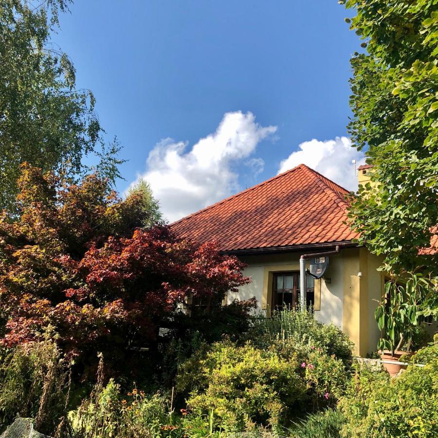 Modryna Ranczo Bed & Breakfast Krasiczyn Dış mekan fotoğraf