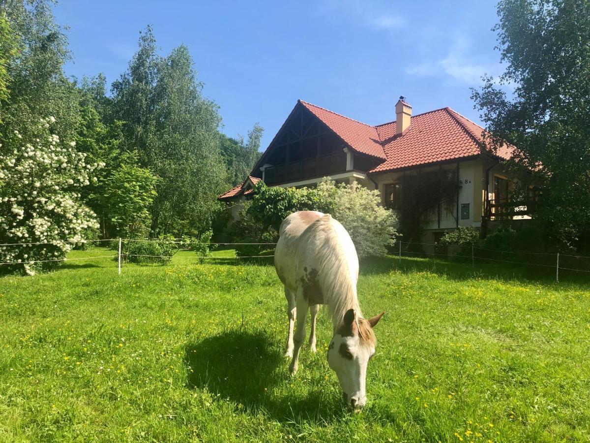 Modryna Ranczo Bed & Breakfast Krasiczyn Dış mekan fotoğraf