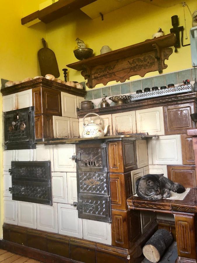 Modryna Ranczo Bed & Breakfast Krasiczyn Dış mekan fotoğraf